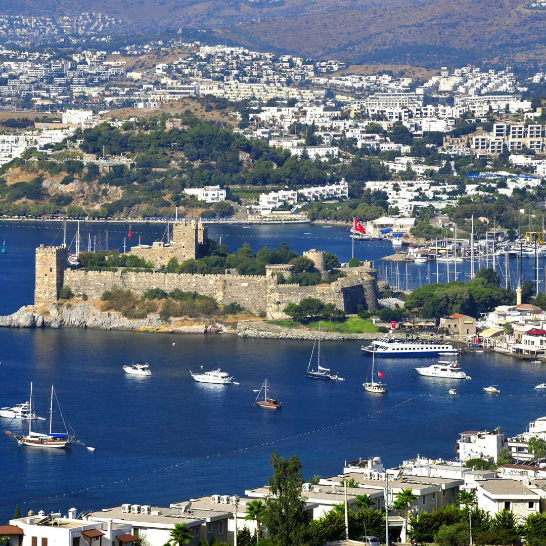 turkey